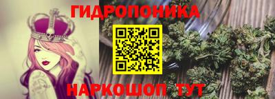 эйфоретик Гусев