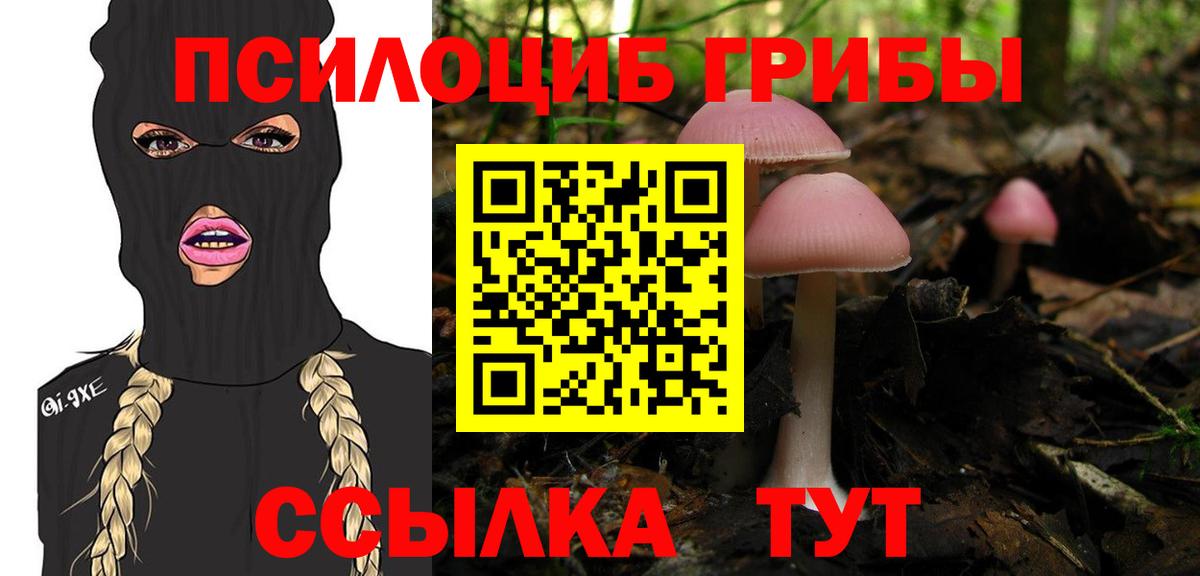 Псилоцибиновые грибы Magic Shrooms  Вход с VPN  Орехово-Зуево  Галлюциногенные грибы прущие грибы 